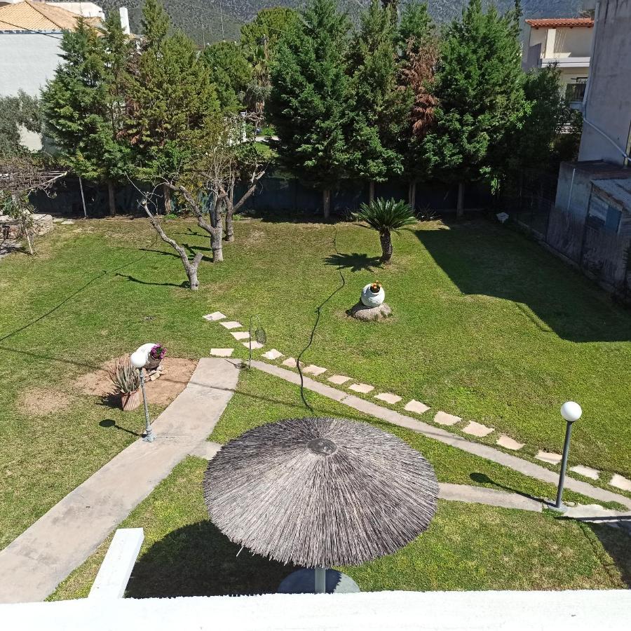 Kirra Itea'S Garden Houseヴィラ エクステリア 写真