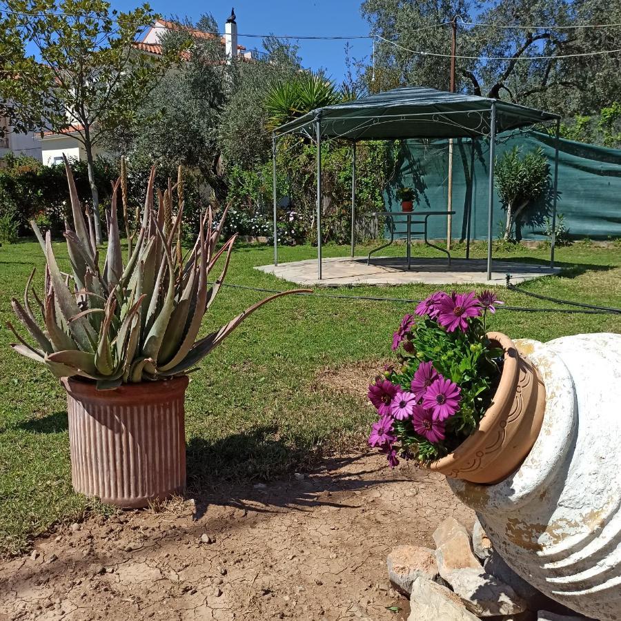 Kirra Itea'S Garden Houseヴィラ エクステリア 写真